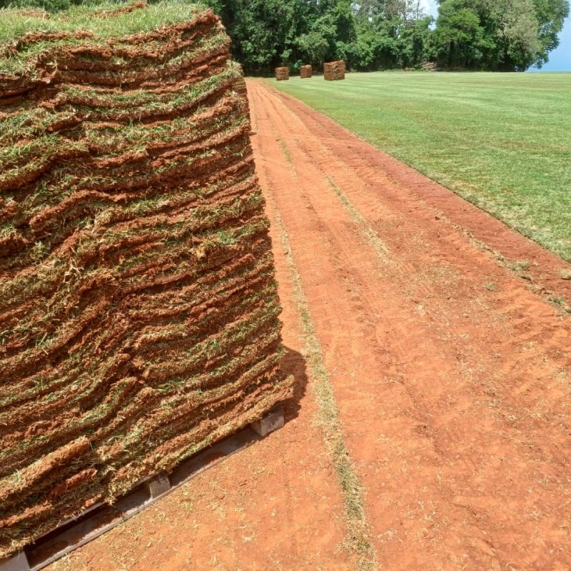 7b67136d-e090-4f8a-8b90-17b2eb428feb(1)