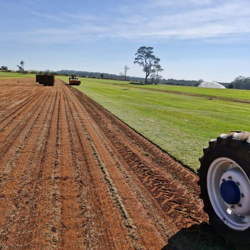 e1942198-3d6d-4ea9-b91e-82badb65e53d