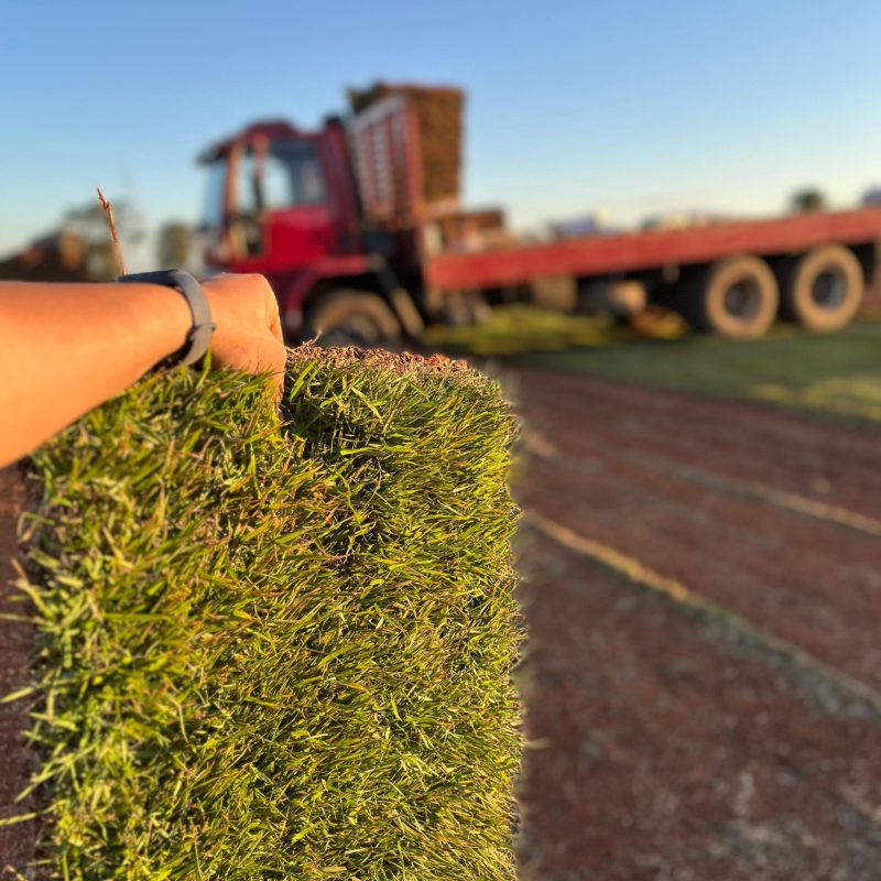 fa8b171c-940c-4397-b42a-2f47d475b1e3